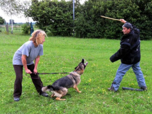 Training in Germany