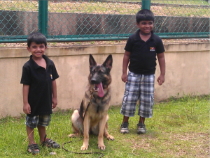 Introduction to children