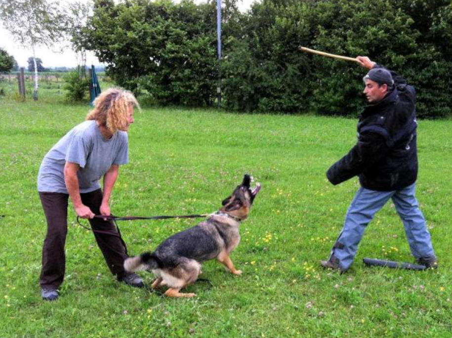 Training in Germany