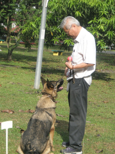 Getting focus from the dog