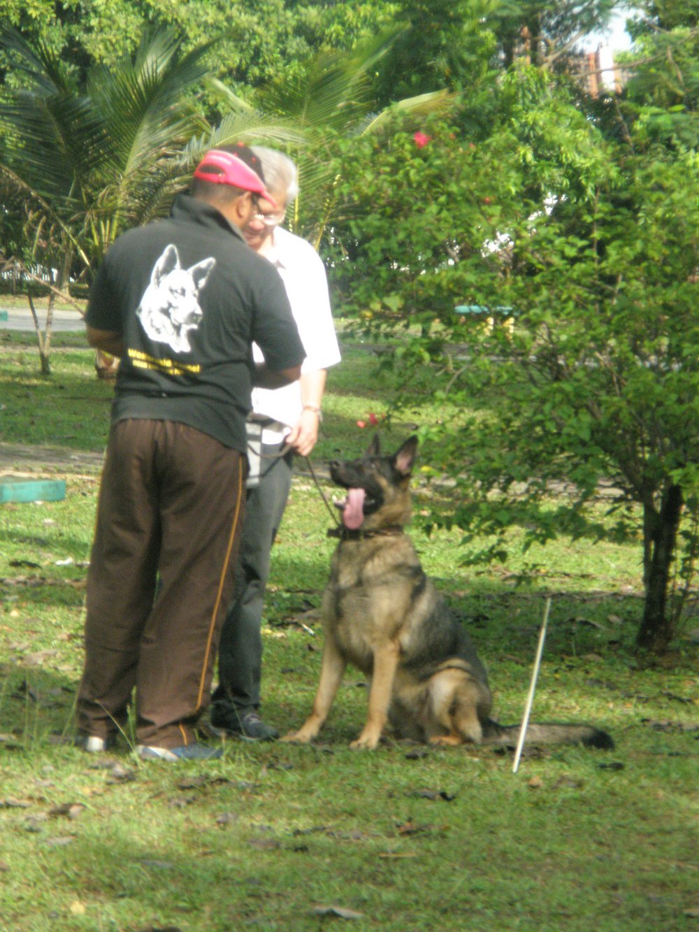 Preparation for training