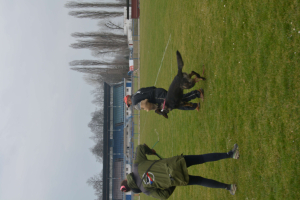 Suspect turn into assailant