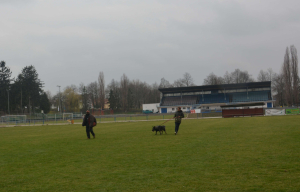 Escorting assailant to detention