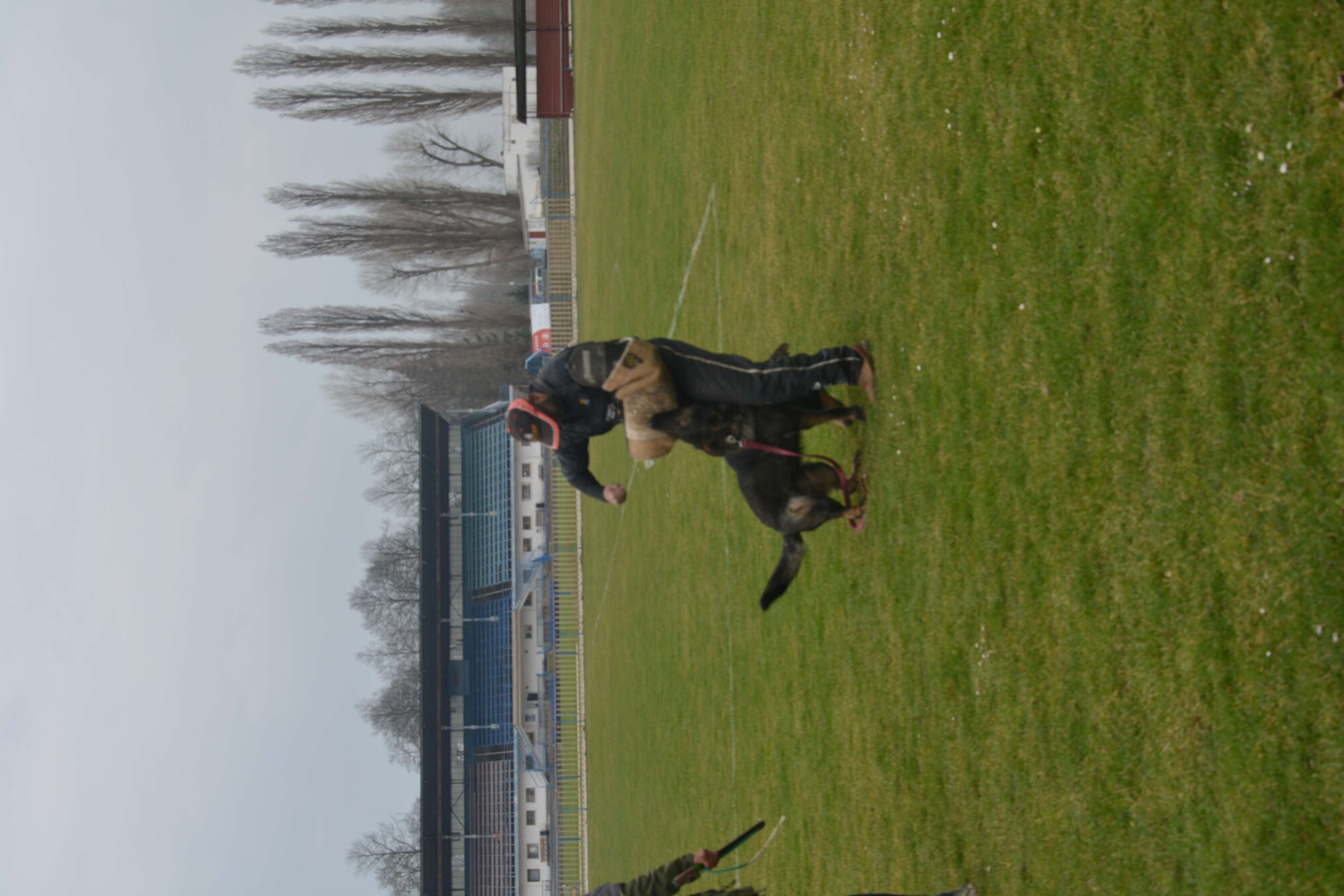 Fighting the dog without weapon