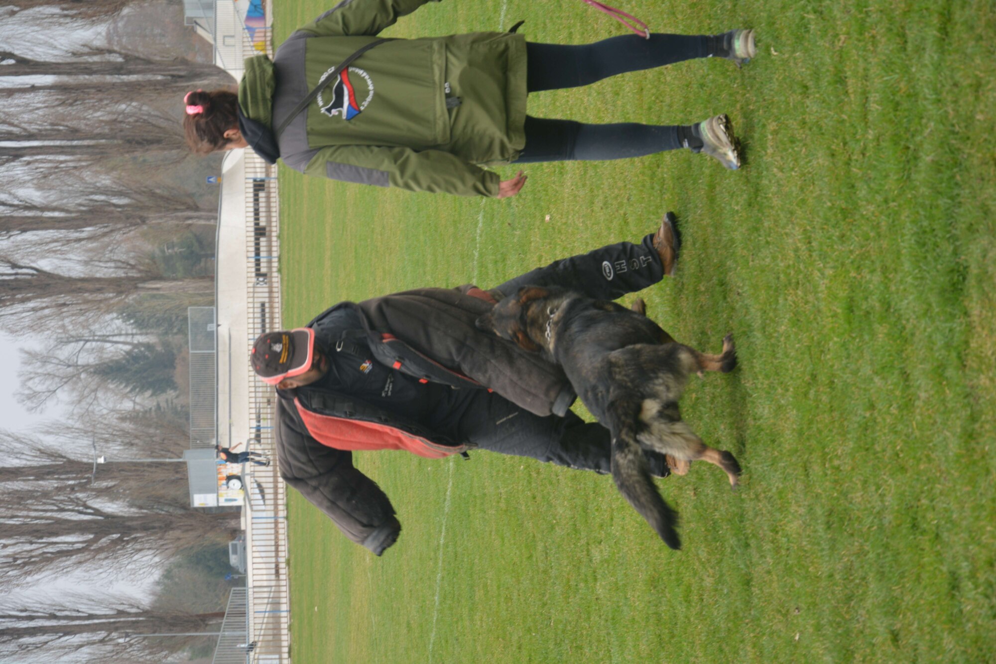 Full fight in between K9 and assailant