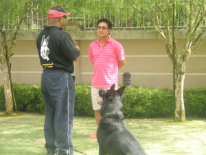 Both dog and owner learning the commands intently