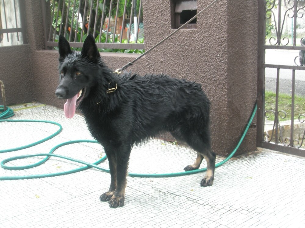First shower in Malaysia