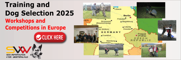 Training and Dog Selection 2025
